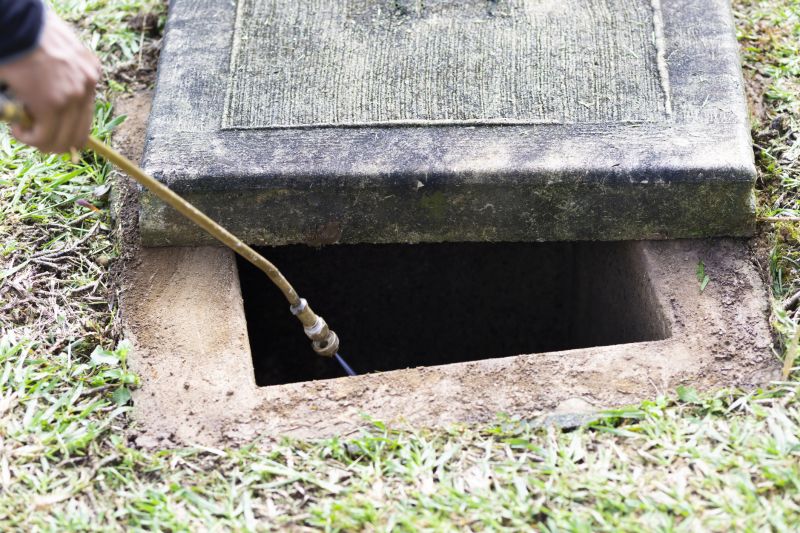 Rat Fumigation Service in Franklin, TN