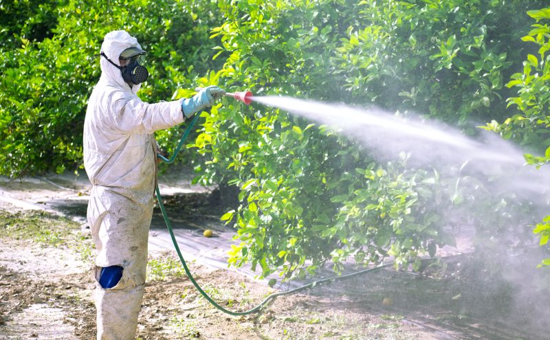 Residential Fumigation in Davis County, UT