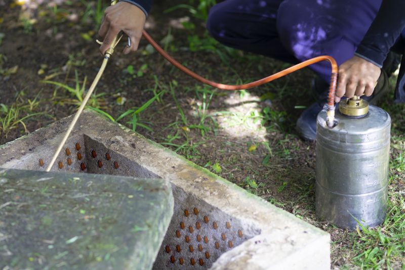 Roach Fumigation in Wilmington, NC