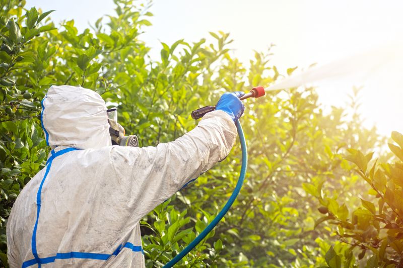 Commercial Fumigation in Coeur D Alene, ID