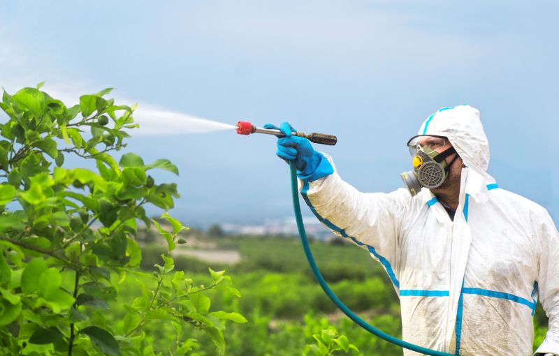 Commercial Fumigation in West Palm Beach, FL
