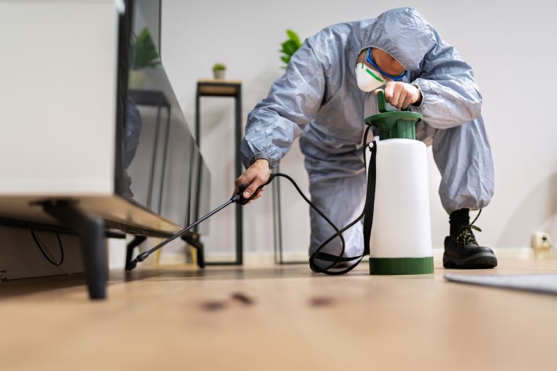 Pest Fumigation Service in Gwinnett County, GA