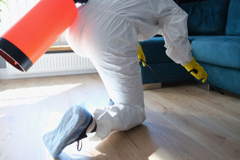 Rat Fumigation Service in Katy, TX