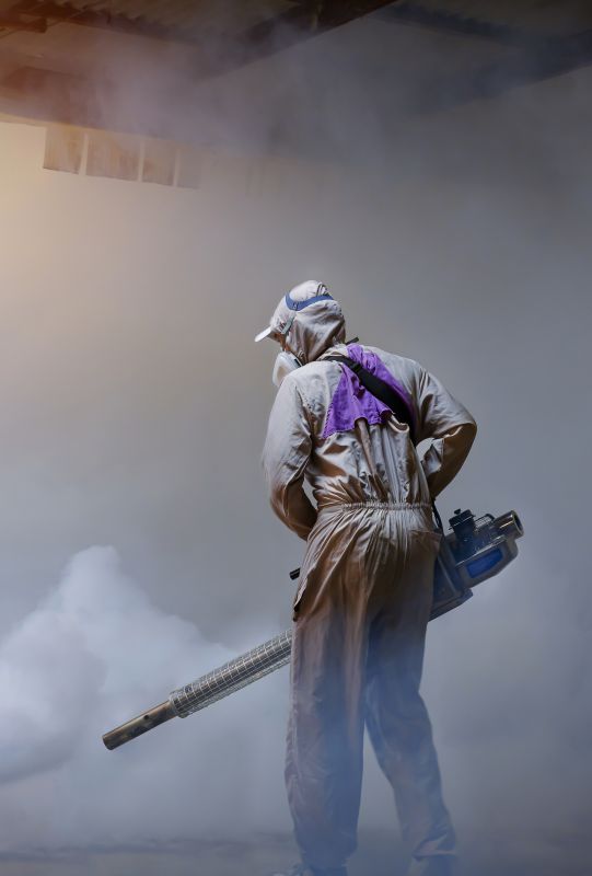 Spider Fumigation Service in Coeur D Alene, ID